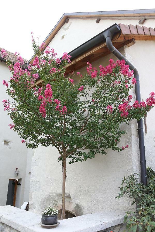 לינה וארוחת בוקר Chaumont  Le Manoir מראה חיצוני תמונה